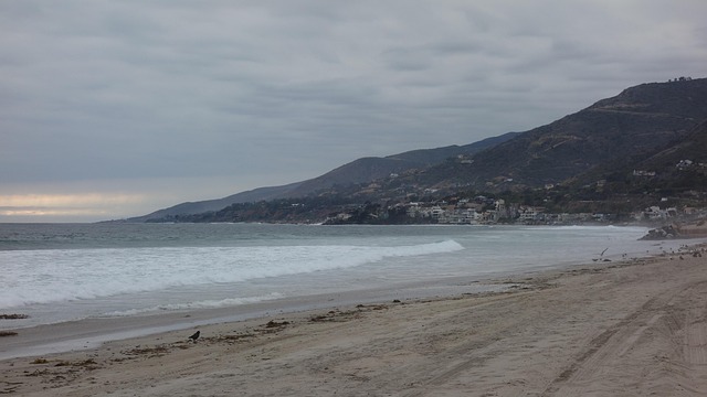 Free Beach Sea photo and picture