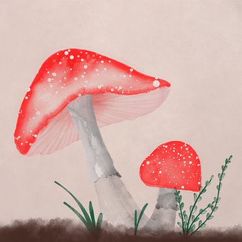 Ilustration, Ciupercă, Roșu, Acuarelă