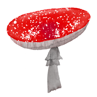 Ilustrator, Acuarelă, Clip Art, Roșu
