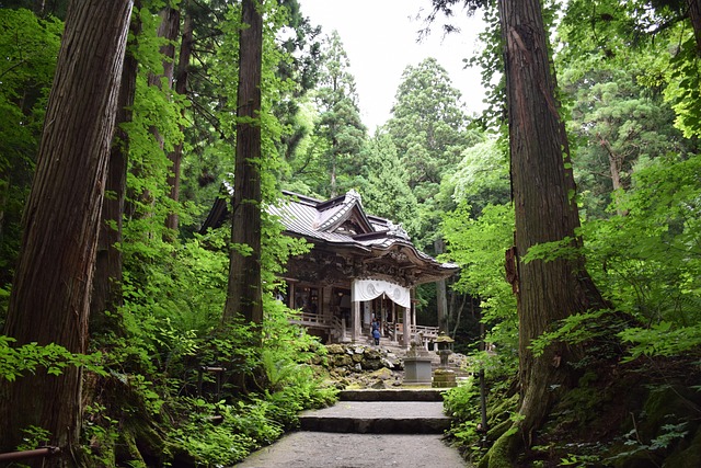 Free Shrine Woods photo and picture