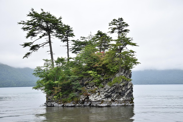 Free Island Uninhabited photo and picture
