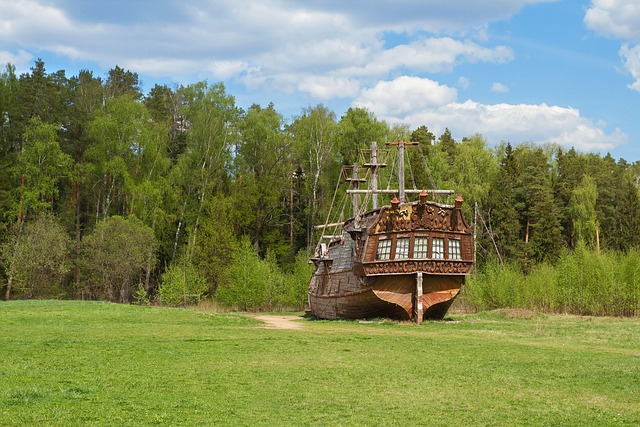 Schiff, Feld, Bäume, Altes Schiff
