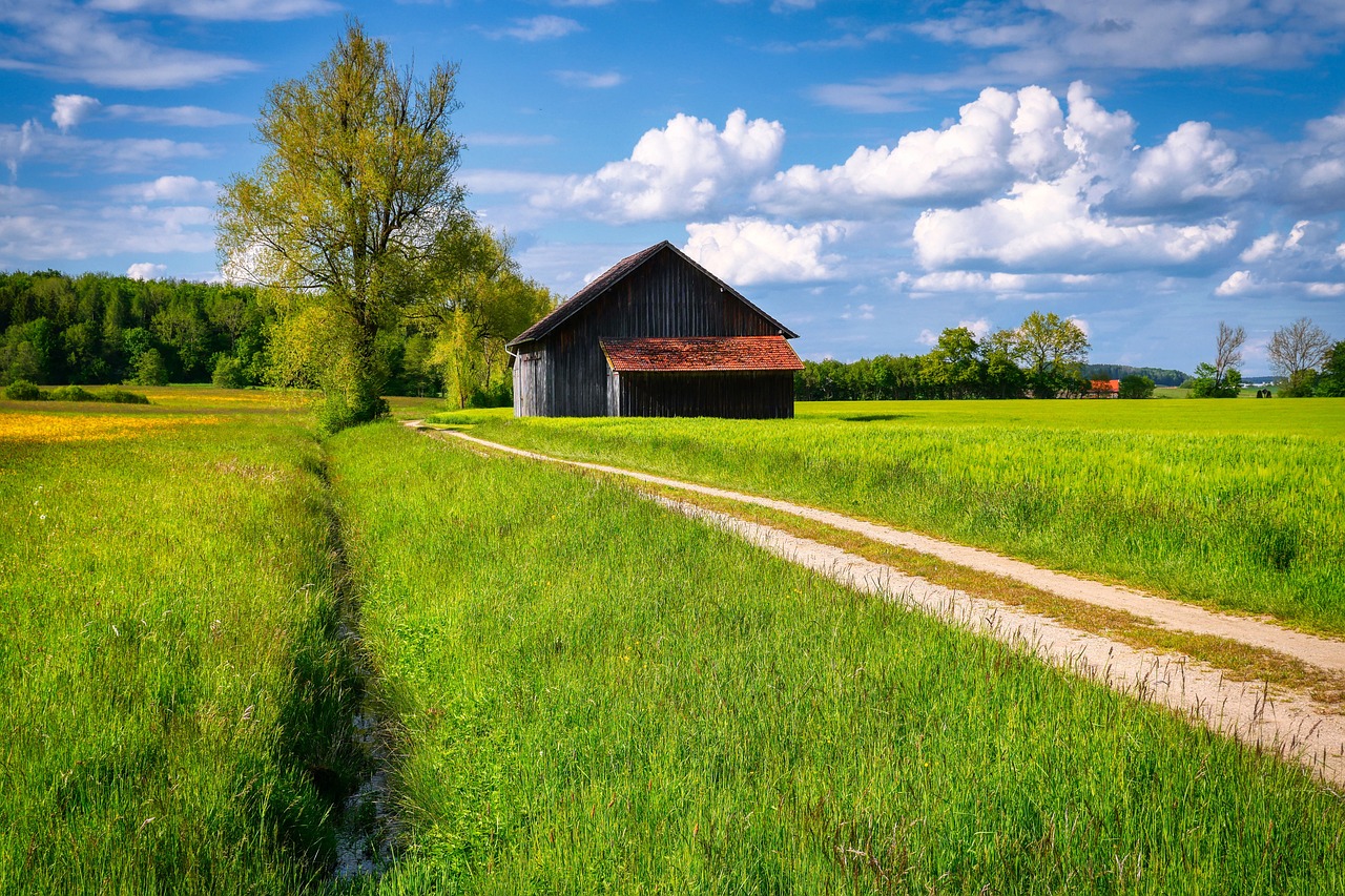 Barn Field Road - Free photo on Pixabay - Pixabay