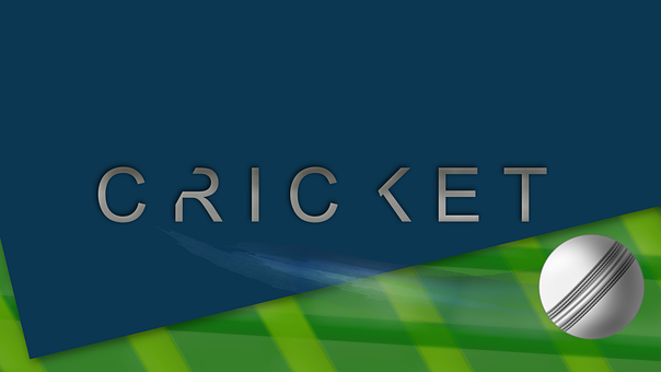 Free Cricket Sports illustration and picture
