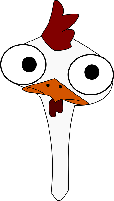 Frango, Galo, Cabeça, Aves, Pássaro
