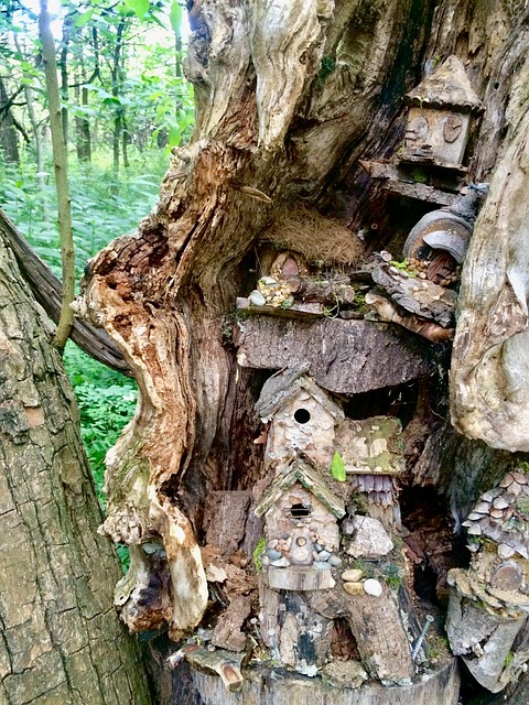 Hada, Árbol, Casa, Bosque, Fantasía