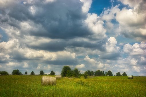 Free Haybail Field photo and picture