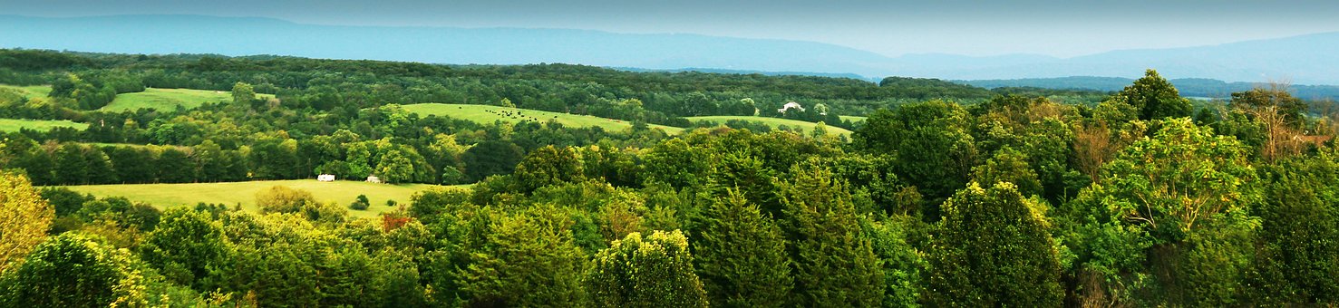 Felder, Bäume, Hügel, Panorama, Wald