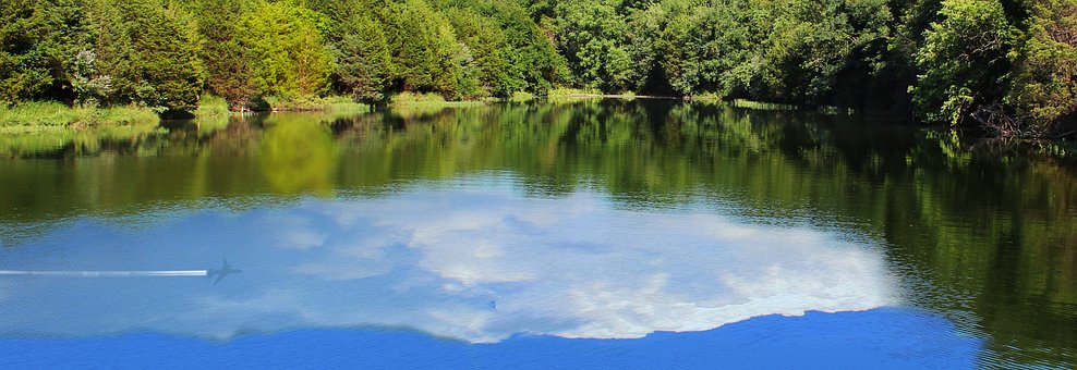 See, Bäume, Reflexion, Flugzeug, Wasser