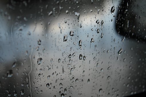 Free Rain Drops photo and picture