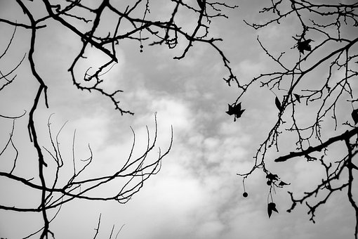 Free Perspective Sky photo and picture