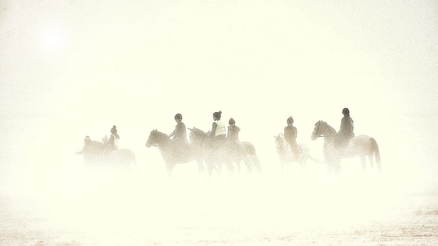 Free horses riders mist illustration