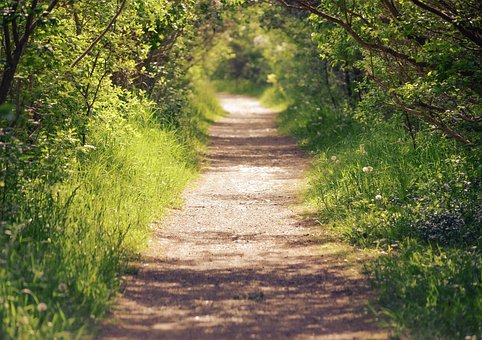 Free Trail Hiking photo and picture