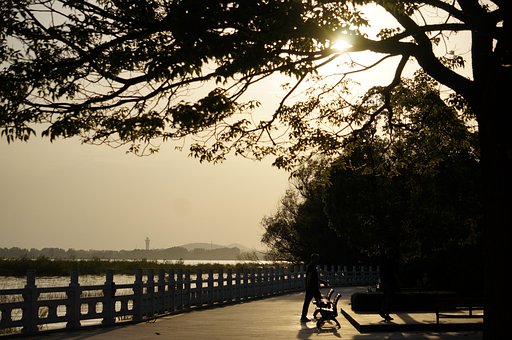 Free Bench Lake photo and picture