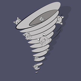Cat, Tornado, Katteaktig, Karakter, Vær