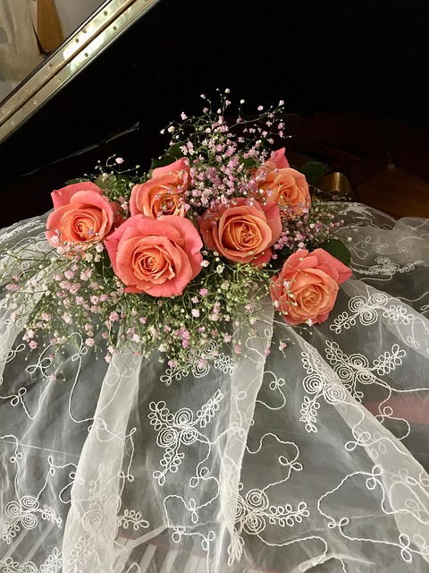 Free Roses Flowers photo and picture