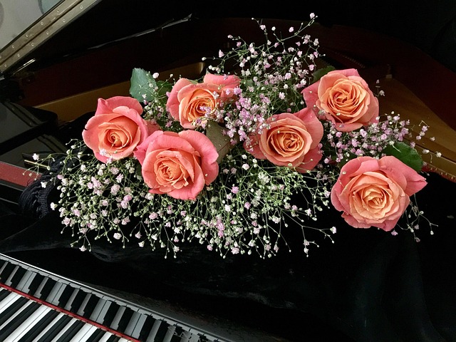 Free Roses Flowers photo and picture