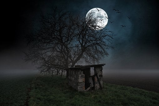 Free Abandoned Place Hut illustration and picture