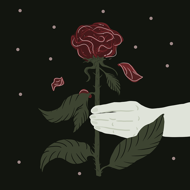 Free rose flower hand illustration