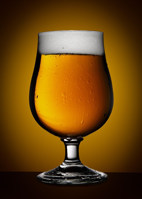 Free Beer Drink photo and picture