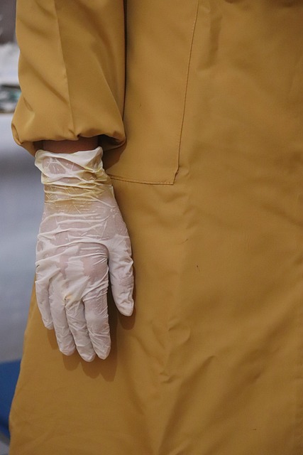 Free Gloves Medical Staff photo and picture