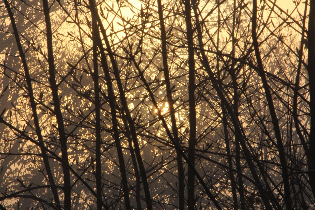 污染 雾 Co2 - Pixabay上的免费照片 - Pixabay