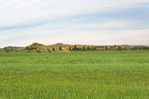 Gress, Eng, Landskap, Natur, Vår, Fjell