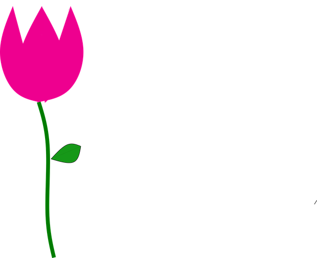 Lalea, Floare, Luncă, Multicolor