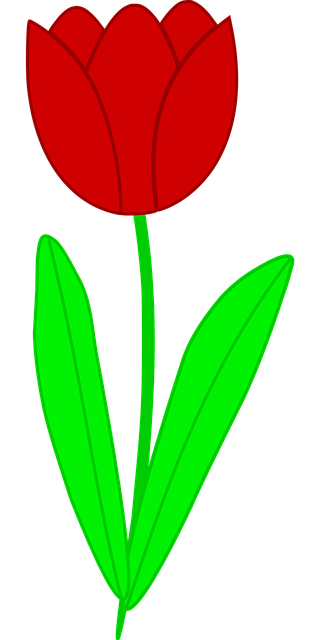 Lalea, Floare, Natură