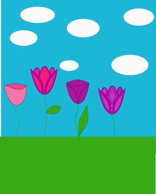 Pajiște De Flori, Natură, Floare, Lalea
