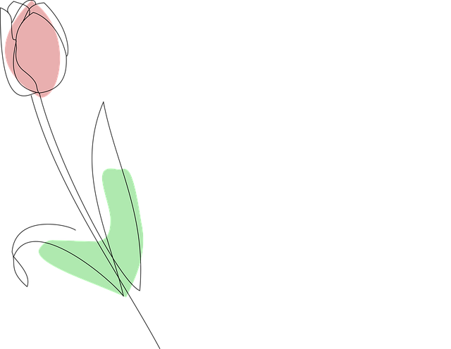Тюльпан, Flower, Природа, Нидерланды