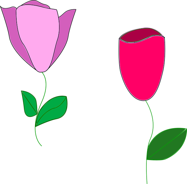 Lalele, Floare, Natură, Primăvară
