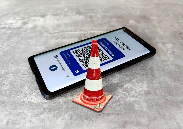 Free Digital Vaccination Record Smartphone photo and picture
