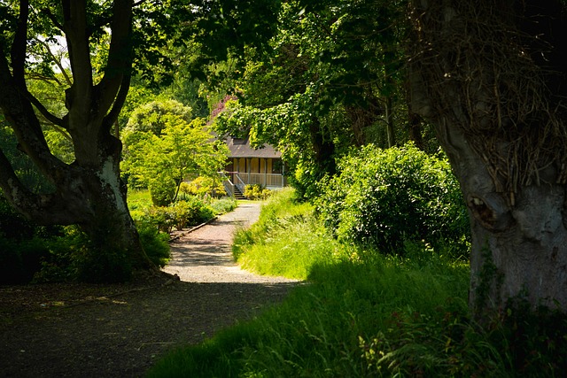 Free Field Trees photo and picture