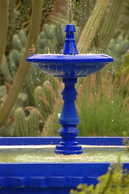 Fonte, Banho Do Pássaro, Jardim