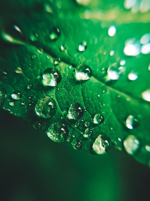 Laken, Druppels, Regen Close-Up