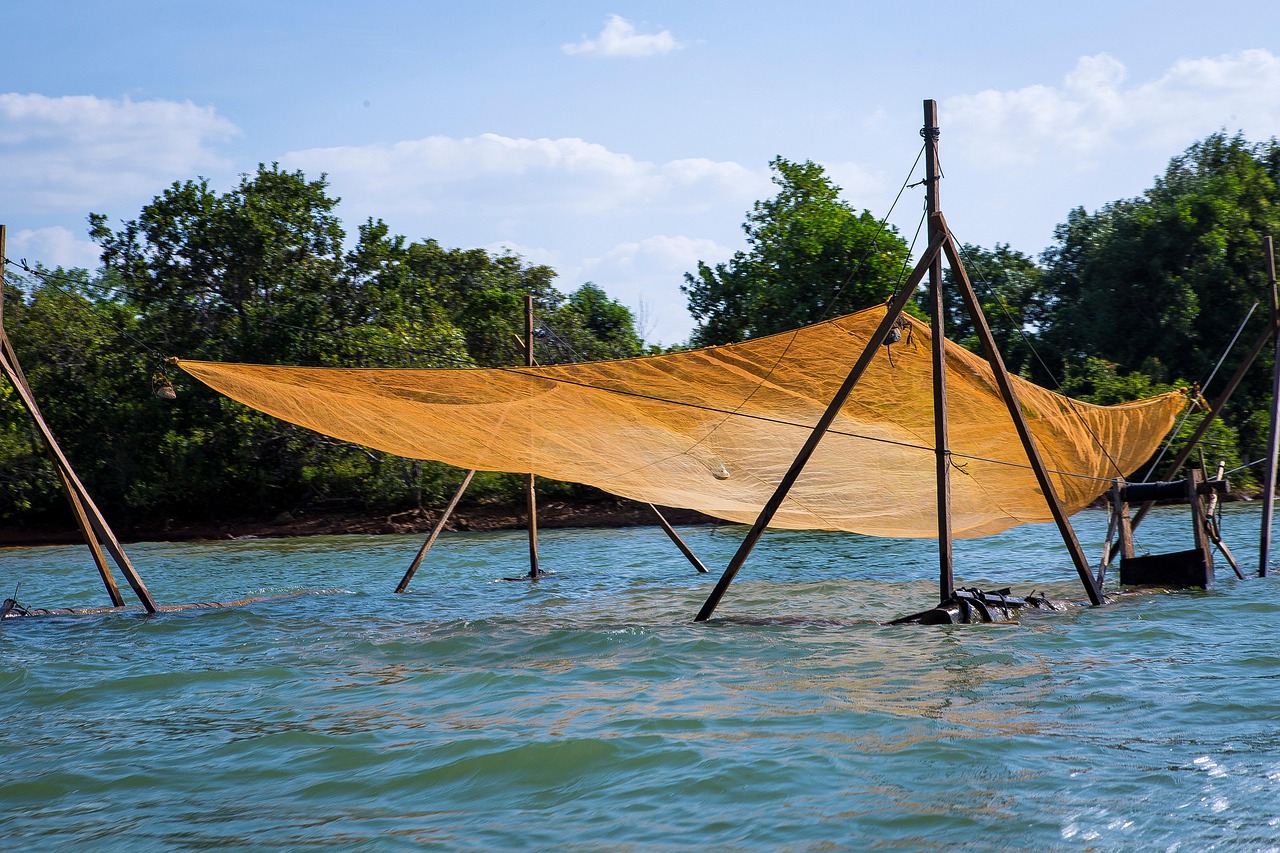Lake Net Raft Lake Fishing Net Raft - Free photo on Pixabay - Pixabay