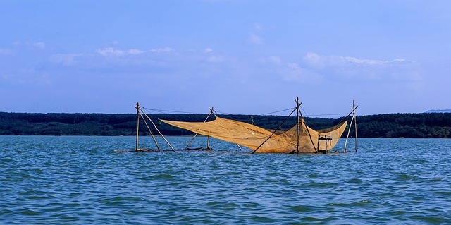 Lake Net Raft Lake Fishing Net Raft - Free photo on Pixabay - Pixabay