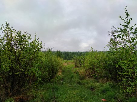 Delvis Skyet, Natur, Landsbyen, Skyer