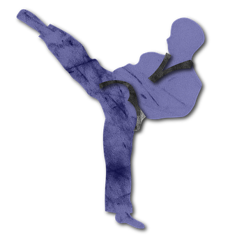 Free Tkd Taekwondo illustration and picture