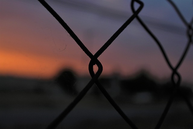 Red, Atardecer, Antecedentes, Jaula