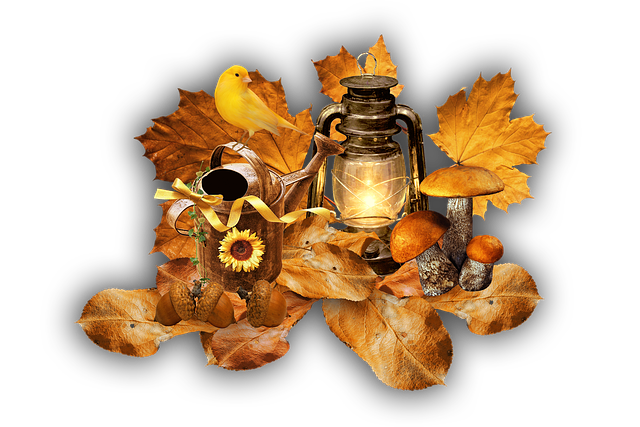 Herbst, Blätter, Gaslampe, Pilze