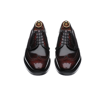 Free Shoes Leather Shoes illustration and picture