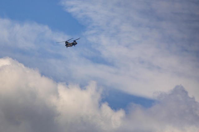 Free Air Flight photo and picture