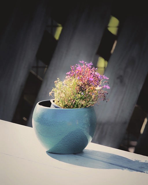 Free Flowers Flower Pot photo and picture