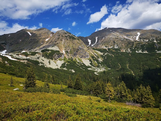 Free Mountains Trees photo and picture