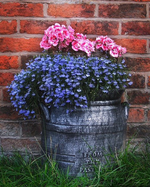 Free Beautiful Flowers photo and picture