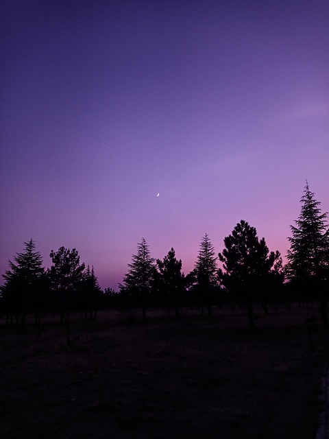 Free Sunrise Wall Paper photo and picture
