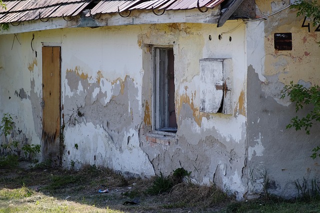 Free House Rom photo and picture