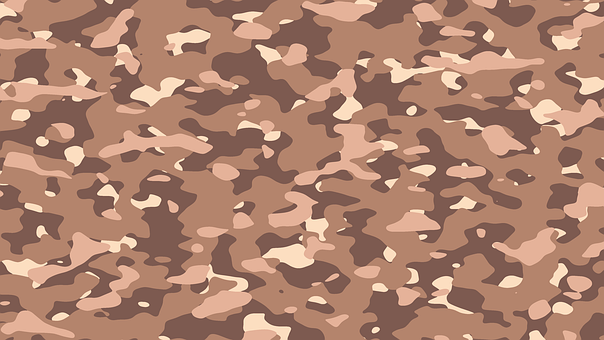 Free Camouflage Army illustration and picture